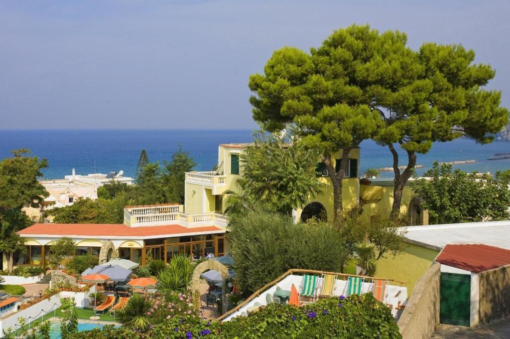 Albergo Villa Hibiscus Forio di Ischia Dış mekan fotoğraf
